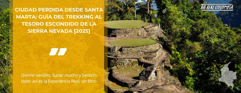 Ciudad Perdida desde Santa Marta: Guía del Trekking al Tesoro Escondido de la Sierra Nevada [2025] • La Colombia Real • Hero terrazas