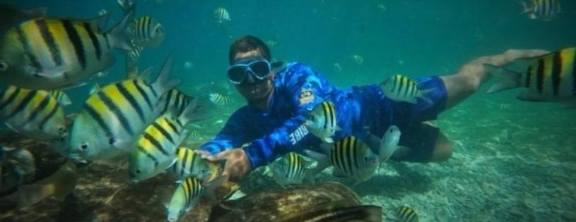 Qué hacer en Santa Marta, Colombia: actividades y experiencias por tipo de viajero • La Colombia Real • Snorkel