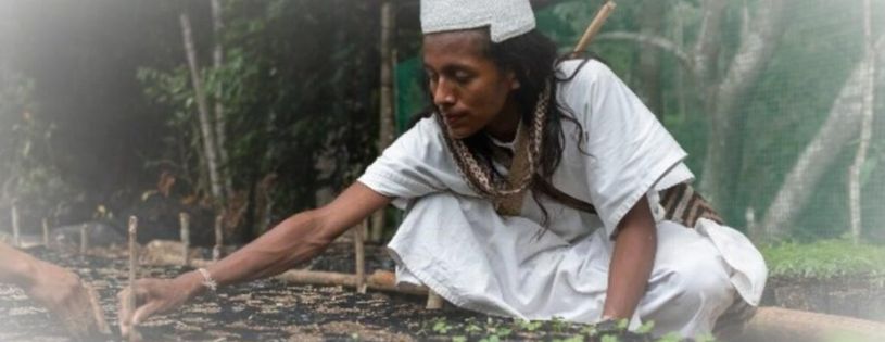 Indígenas Sierra Nevada de Santa Marta: guía para viajeros curiosos • La Colombia Real