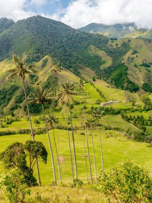 Salamina Colombia: el pueblo del Eje Cafetero que muchos viajeros todavía no conocen • Palmas de Cera • La Colombia Real